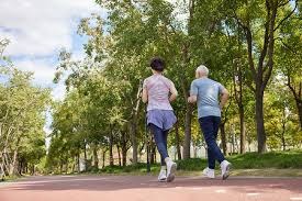 本赛季五大联赛门将零封榜：戴维-拉亚7次零封居首