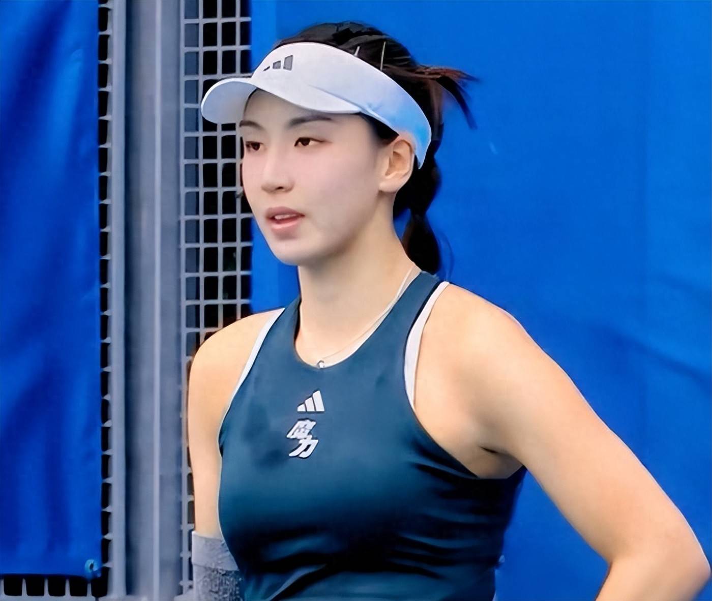 浙江男篮的 浙江男篮的